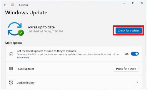 check for update on windows