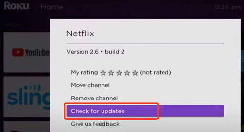 check netflix updates on roku tv