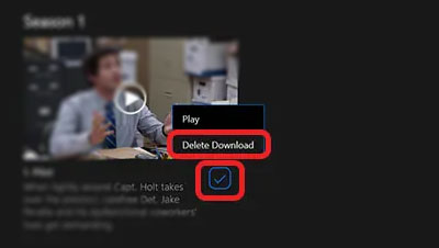 delete download on netflix windows