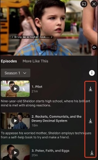 download icon for netflix content on phone