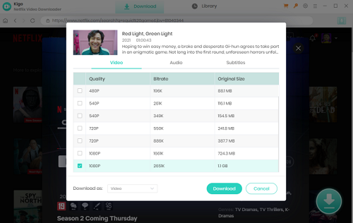 kigo netflix video downloader video quality