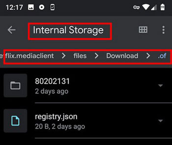 netflix downloads on android internal storage