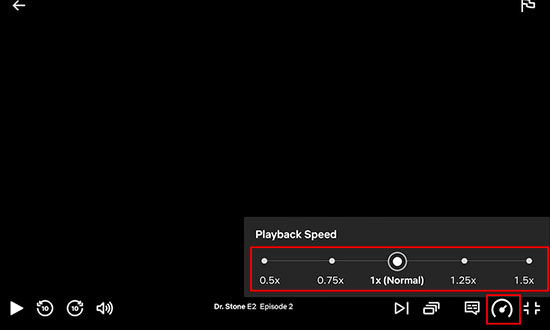 netflix playback speed on webpage