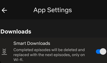 netflix smart downloads