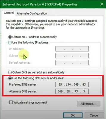 paste the dns server addresses