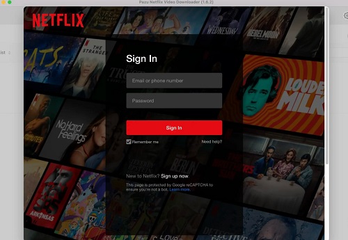 sign in netflix account on pazu