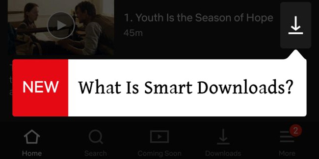 what is smart downloads netflix